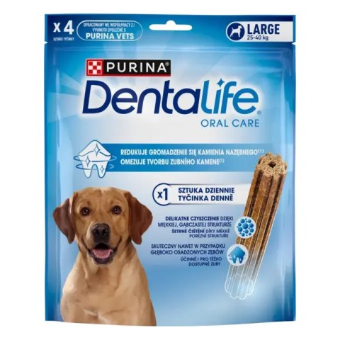 Dentalife Large 142g