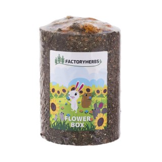 FactoryHerbs Flower Box