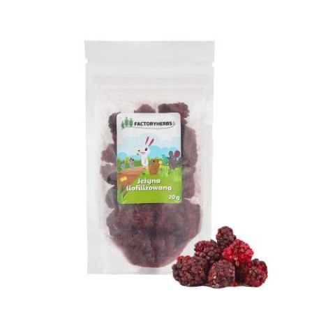 FactoryHerbs Jeżyna Liofilizowana 20g