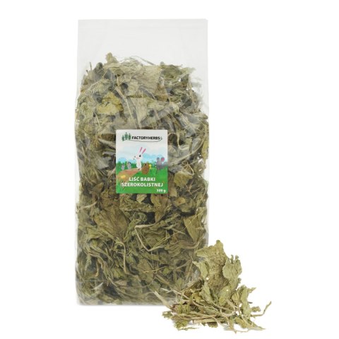 FactoryHerbs Liście Babki Szerokolistnej 300g