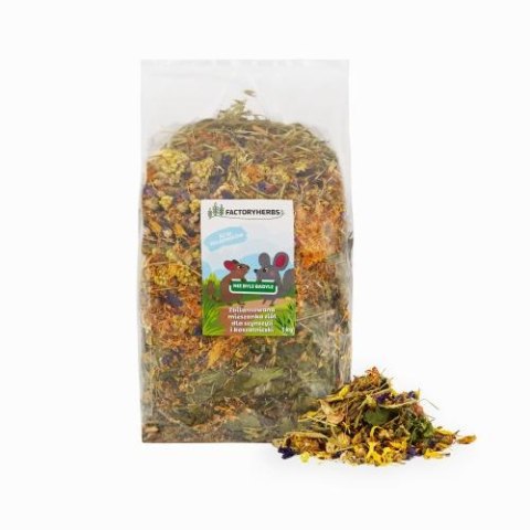 FactoryHerbs Nie Byle Badyle Dla Szynszyli I Koszatniczki 1kg