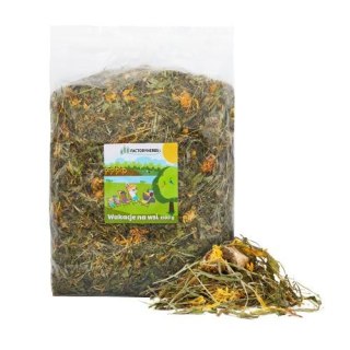 FactoryHerbs Wakacje Na Wsi 1,5kg