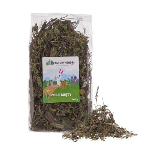 FactoryHerbs Ziele Mięty 100g