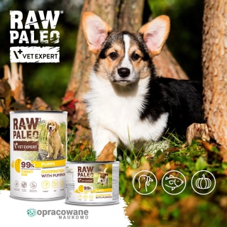 Raw Paleo Indyk&Dorsz Puppy 200g