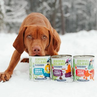 Animal Island Indyk Jagnięcina 800g