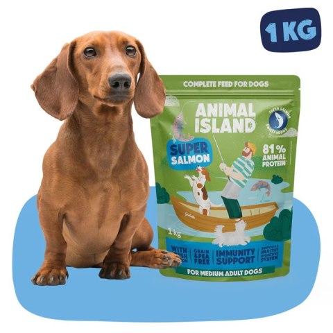 Animal Island Łosoś 1kg