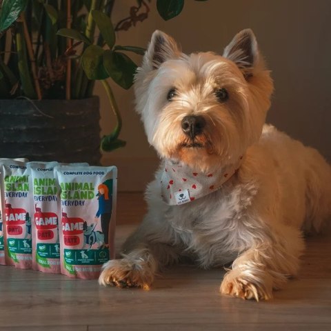 Animal Island Pasztet Z Dziczyzny Dla Psów Ras Mini 150g