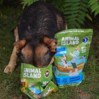 Animal Island Wołowina 1kg
