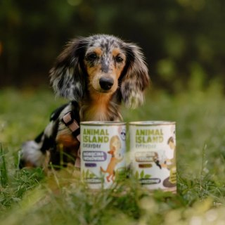 Animal Island Wołowina Jagnięcina Dla Szczeniąt 400g