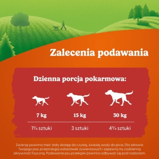 Friskies Picnic Wolowina 42g