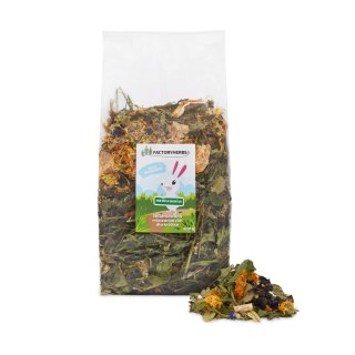 Nie Byle Badyle Dla Królika 500g