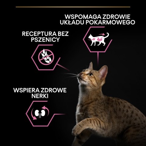 Purina Pro Plan Delicate Adult Indyk 400g