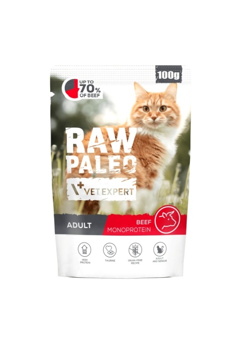 Raw Paleo Adult Cat Beef 100g