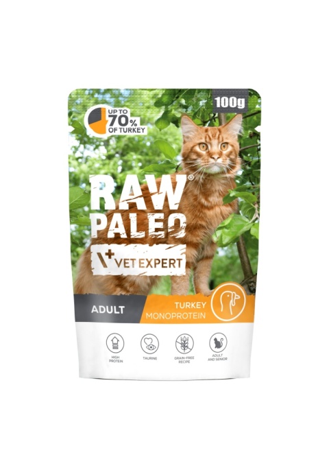 Raw Paleo Adult Cat Turkey 100g