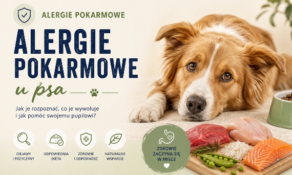 Alergia pokarmowa u psa